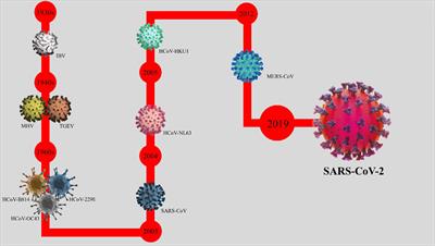 Coronavirus Disease 2019: A Brief Review of the Clinical Manifestations and Pathogenesis to the Novel Management Approaches and Treatments 